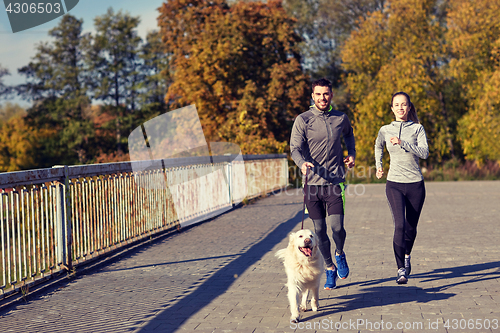 Image of happy couple with dog running outdoors
