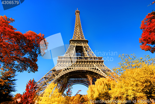 Image of Eiffel Tower in autumn park