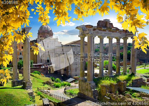 Image of Roman Forum in autumn