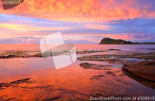 Image of Stunning red sunrise over Lion Island from Pearl Beach