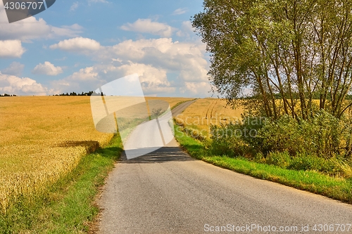 Image of Road through farmlands