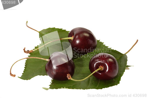 Image of Black Cherries
