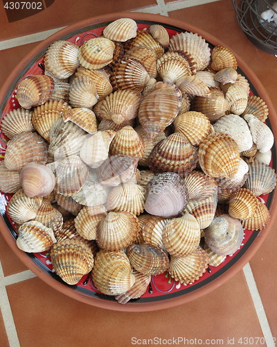 Image of Snail houses