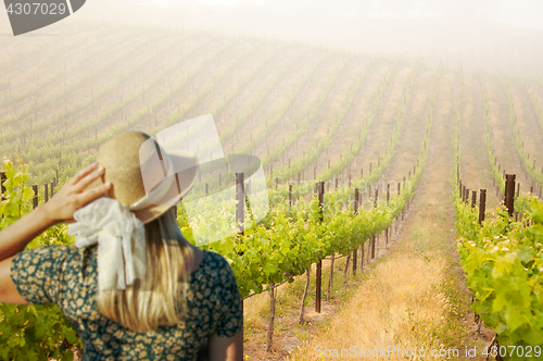 Image of Beautiful Woman Strolling at a Winery