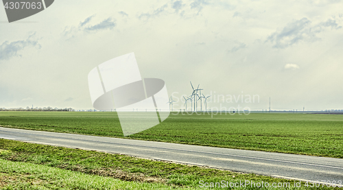 Image of Road in the Plain