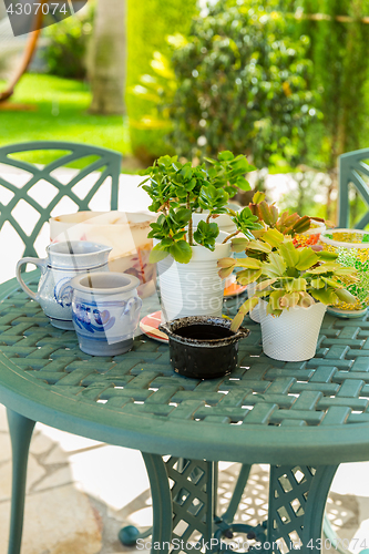 Image of Outdoor patio with plants