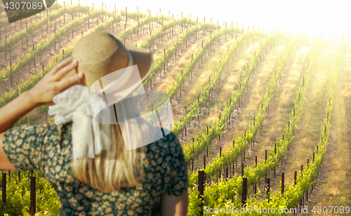 Image of Beautiful Woman Strolling at a Winery