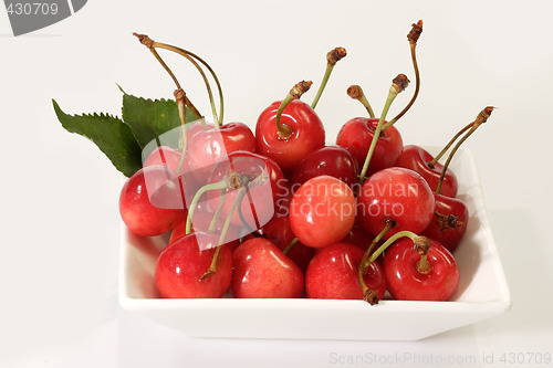 Image of Fresh Cherries