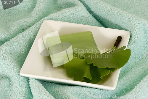 Image of Gingko Soap