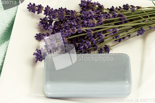 Image of Lavender Soap
