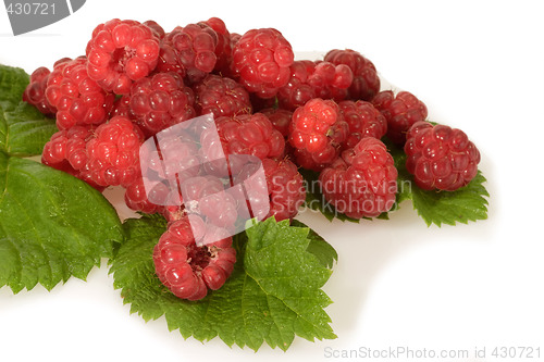 Image of Raspberries with Leaves