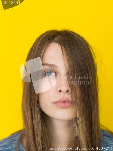 Image of pretty woman playing with her long silky hair