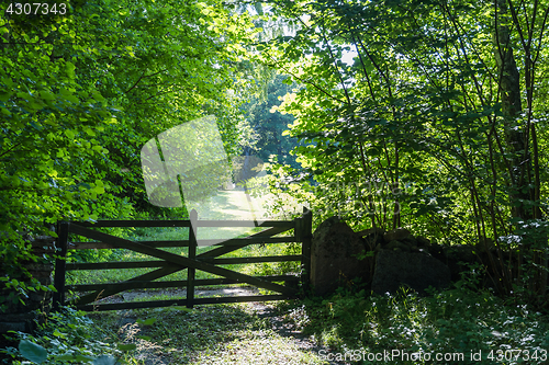 Image of Old wooden gate in a lush greenery