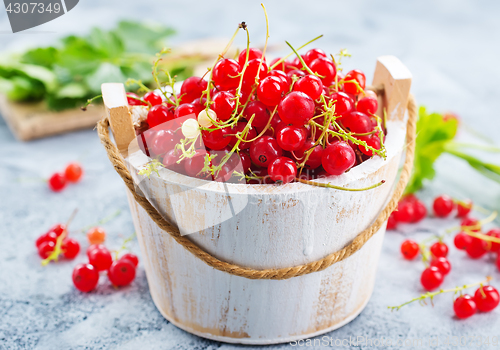 Image of red currant