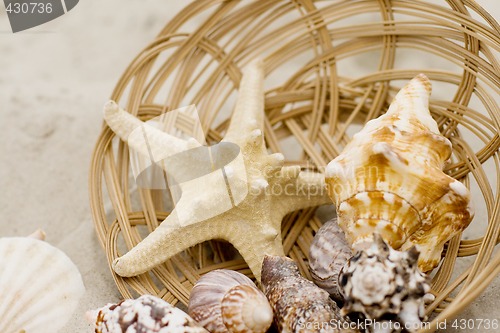 Image of starfish, chells and basket