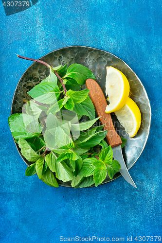 Image of fresh mint