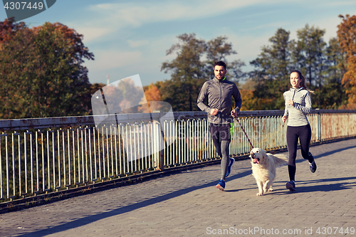 Image of happy couple with dog running outdoors