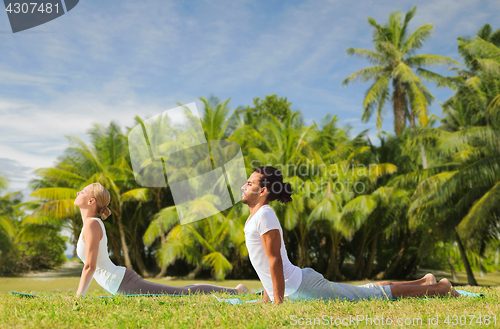 Image of couple making yoga cobra pose outdoors