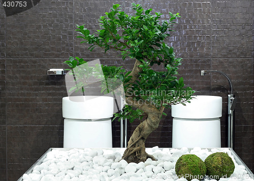 Image of Bonsai bathroom