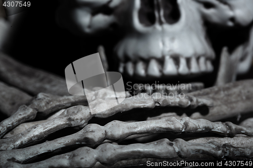 Image of Close-up view of the human skull