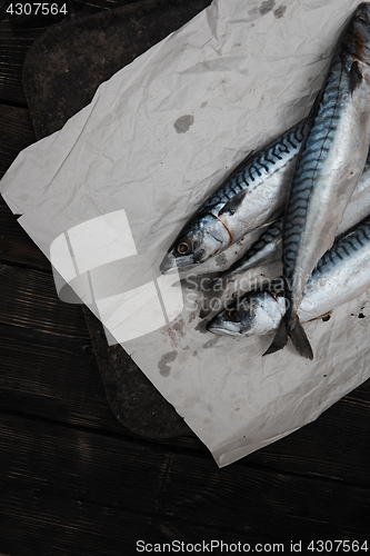 Image of Scomber fish in wrapping paper