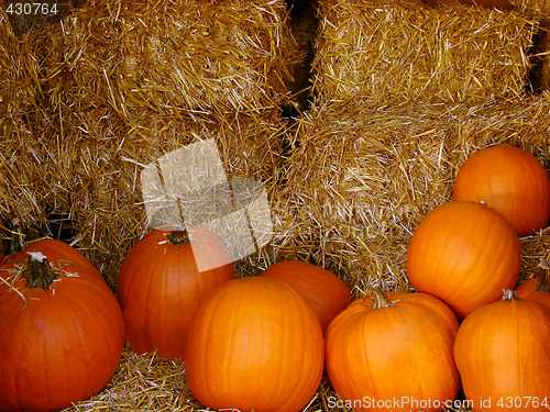 Image of Pumpkins and hay