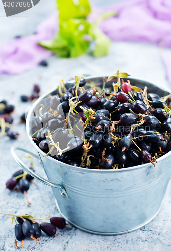 Image of black currant
