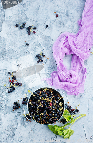 Image of black currant