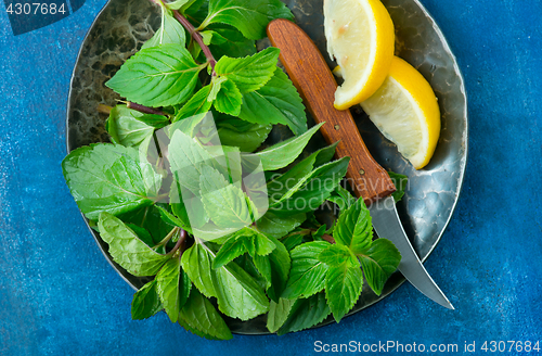 Image of fresh mint