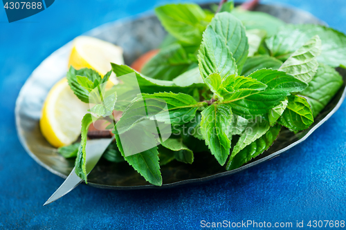 Image of fresh mint