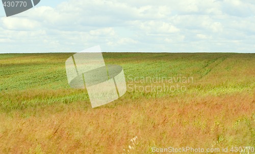 Image of field