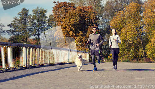 Image of happy couple with dog running outdoors