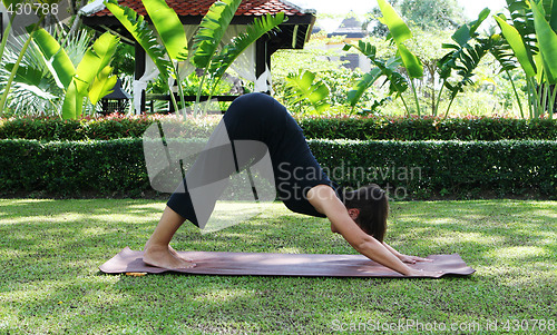 Image of Yoga