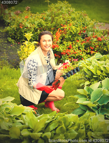 Image of Beautiful smiling woman planting flowers in a flower garden