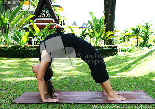 Image of Yoga