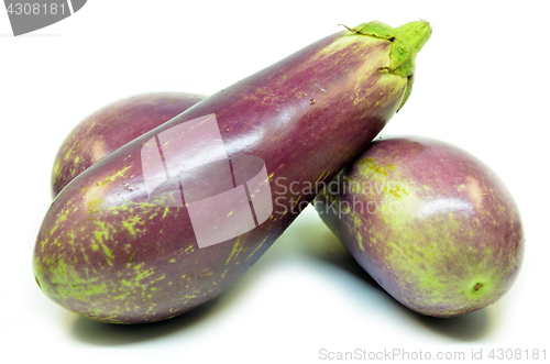 Image of Fresh vegetable eggplant