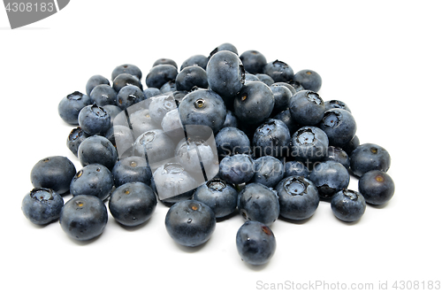 Image of Tasty blueberries isolated