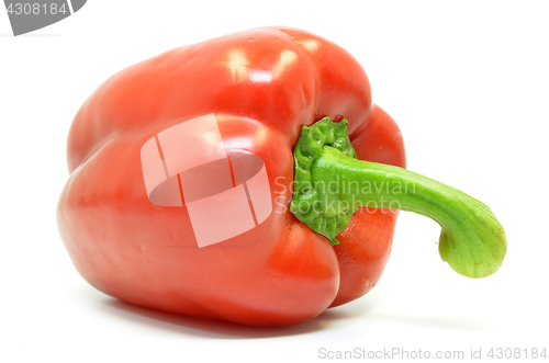 Image of Single red pepper