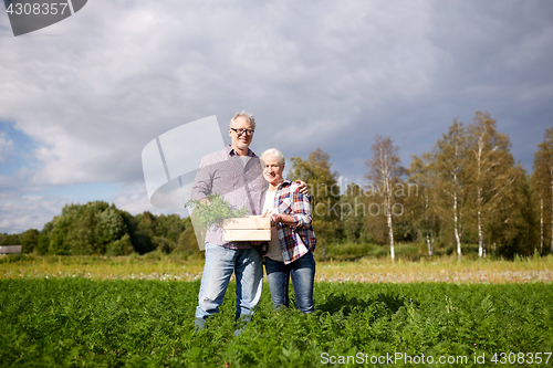 Image of senior couple with box picking carrots on farm