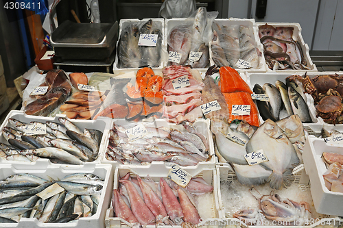 Image of Fish market