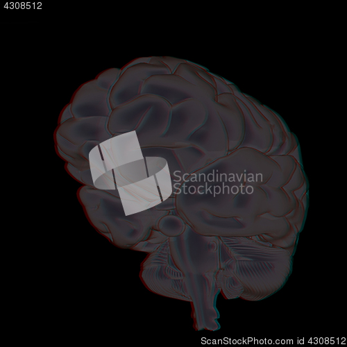 Image of 3D illustration of human brain. Anaglyph. View with red/cyan gla