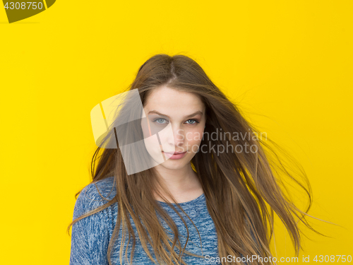 Image of pretty woman playing with her long silky hair