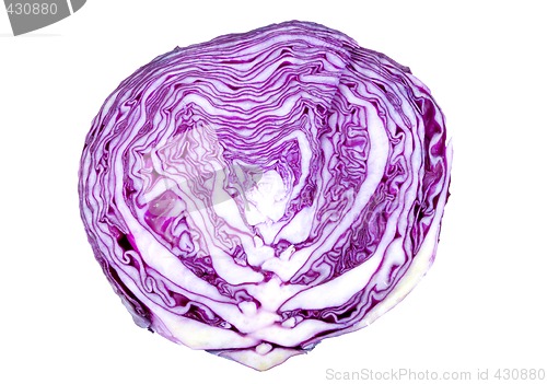 Image of Cabbage Texture