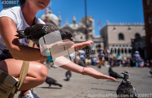 Image of Woman tourist feeding pigeons in the square - St. Marks Square -