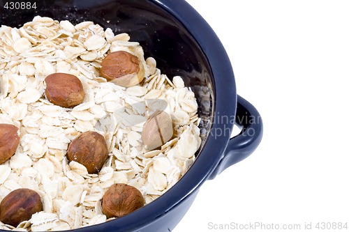 Image of Bowl of Oatmeal