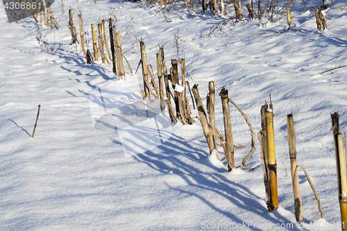 Image of field covered with snow