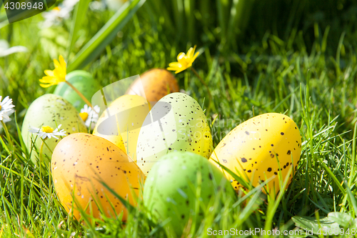 Image of colored Easter eggs hidden in flowers and grass
