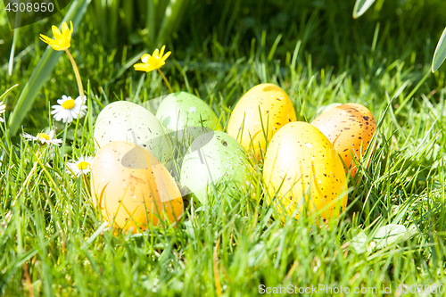 Image of colored Easter eggs hidden in flowers and grass