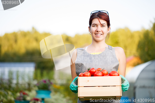 Image of Girl holding box with tomatoes
