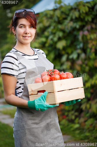 Image of Happy woman with tomato harvest